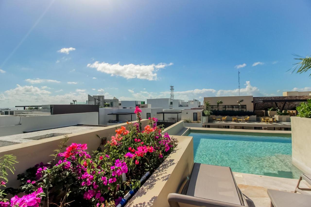 Syrena At 203 Hotel Playa del Carmen Exterior photo